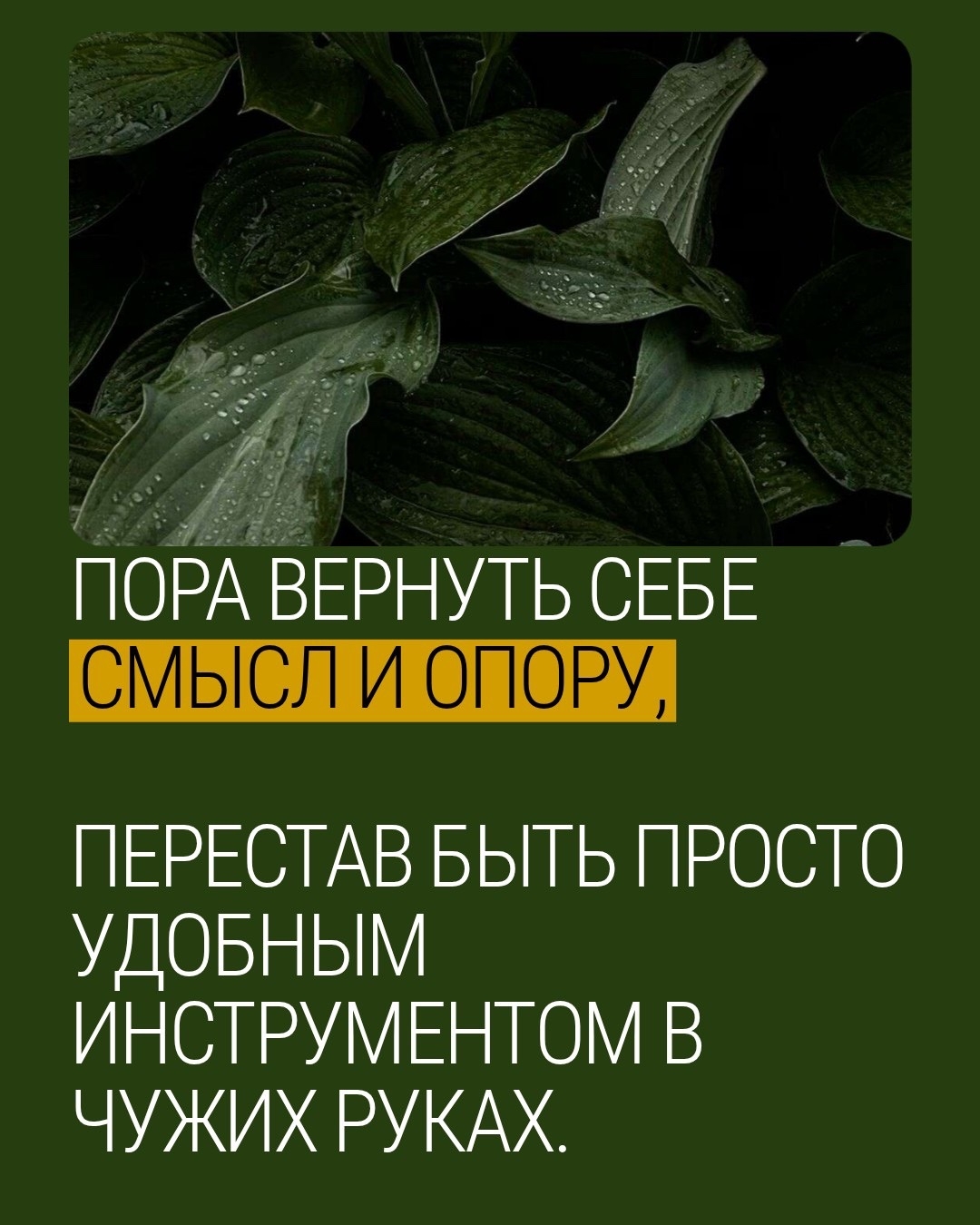 Эффективны снаружи — истощены внутри